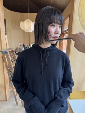 パレス(PAALS) ボブレイヤー
