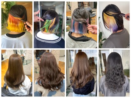 アサクラ シンキタ(ASAKURA SHINKITA)の写真