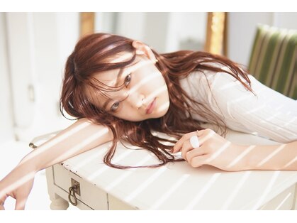 エマ(emma)の写真