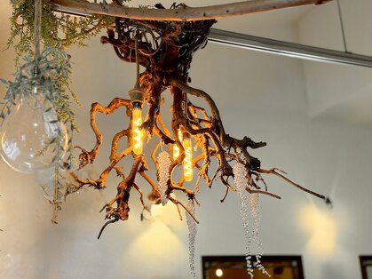 ソアレ (soare)の写真