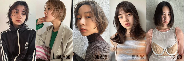 ダンボ(DUMBO)のサロンヘッダー