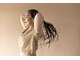 リリーアール(lily-r)の写真