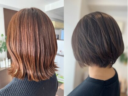 ゼフィール (zefeel)の写真