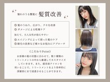 ヘアーアンドカラー プラーチェ(hair&color Plaatje)の雰囲気（髪質改善はお任せ♪相模大野駅北口 徒歩3分【イルミナカラー】）