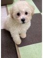 ビームズ トータルビューティー 西中島店(Bee ms Total Beauty)  実家の愛犬にメロメロです