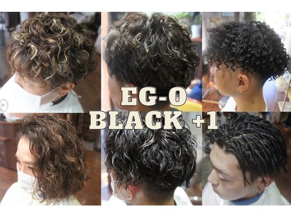 ヘアーエゴブラック(Hair EG-O Black+1)の写真