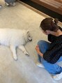 ビタミン(VITAMIN)&nbsp;飼ってないですが犬や動物に癒されます。。。