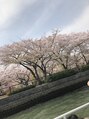 トティア 堀江(Totia) 中之島の桜をパシャリ☆オススメのカメラがあれば教えて下さい♪