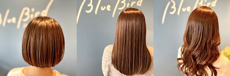 ブルーバード(Blue Bird)のサロンヘッダー