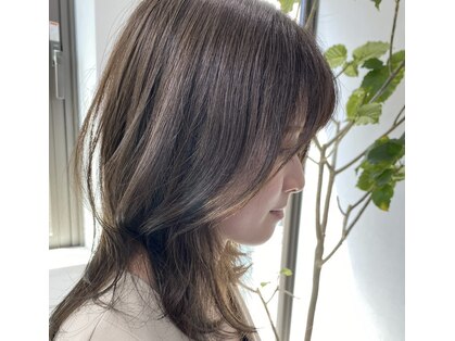 リラ(Lera)の写真