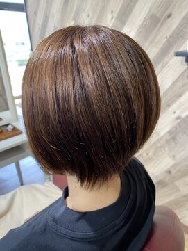 ルネッサンスヘアー ラファエロ(RAFFAELLO) アッシュブラウン　エドルクオンカラー　大人マッシュボブ