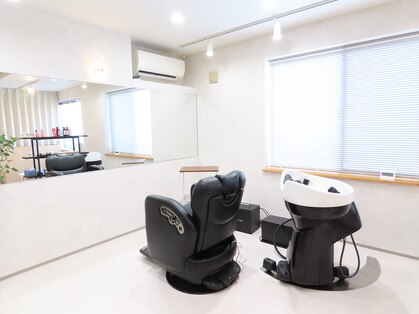 ヒカリ(HIKARI)の写真