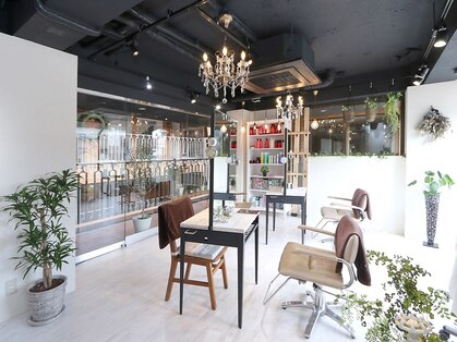 エデラ グランディ オーソ(edera Grandi-oso)の写真