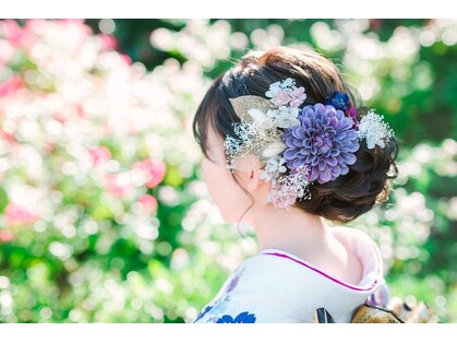 パルム(palme)の写真