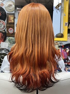 アドネス(ADNESS) フォックスカラー