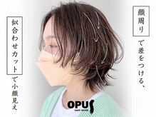 ヘアワークオーパス 吉祥寺(HAIR WORK OPUS)の雰囲気（【ショート/顔周りカット】小顔に見えカット!セットも簡単◎）