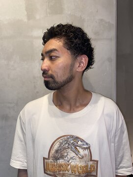 フランクスバーバーザスタンド(Frank’s barber the stand) カーリーテーパーフェードE