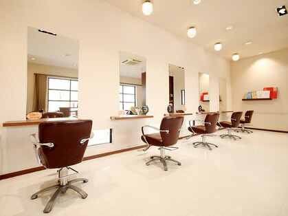 ループヘアー(Loop hair)の写真