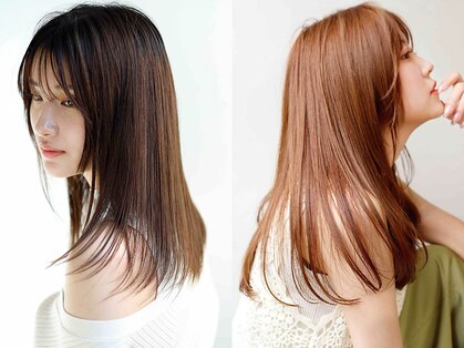 ルーチェ 溝の口(Luce)の写真