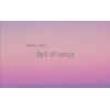 ベルトオブヴィーナス(Belt of venus)のお店ロゴ