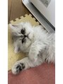 イト(ito.)&nbsp;猫ちゃん5匹と生活してます＊猫ちゃん大好きです◎