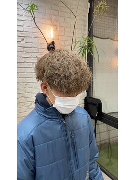 ステラ(STELLA) 波巻きスパイラル