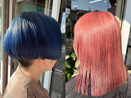 ニューモナの写真