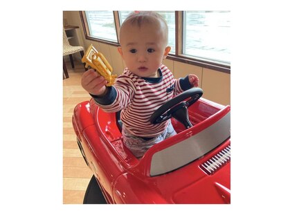 トミー(TOMMY)の写真
