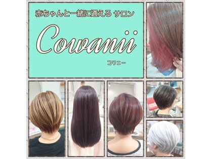コワニー(Cowanii)の写真