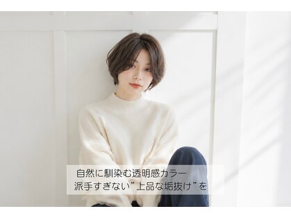 レミエ(lemie)の写真