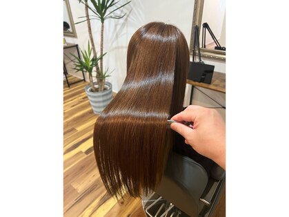 アンディ(andy)の写真