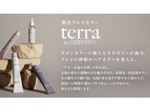 未来の頭皮環境を考え誕生(低刺激白髪染め)【ｔｅｒｒａ(テラ)】