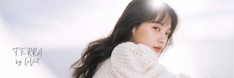 テラバイルヴェール 各務原(TERRA by LeVert)のサロンヘッダー