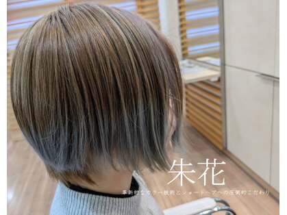 朱花の写真