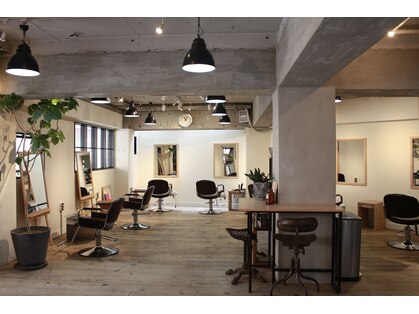 ヘルベチカ・ヘア(Helvetica hair)の写真