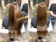 アフロディーテ(hair make aphrodite)の写真/3種類のストレートパーマをご用意しており、髪質やうねりに合わせてお悩み解決◎気軽にご相談ください♪