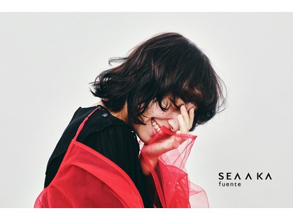 シアカ フェンテ(SEA A KA fuente)の写真