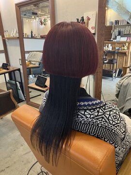 アイノベル(‘Inovel’) クラゲヘア