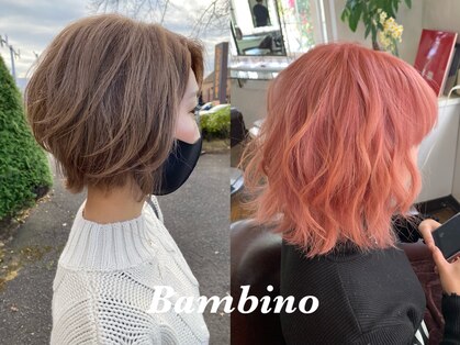 バンビーノ(Bambino)の写真
