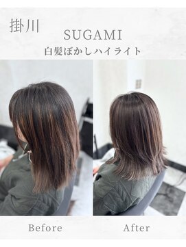 スガミ(SUGAMI) 白髪ぼかしハイライト