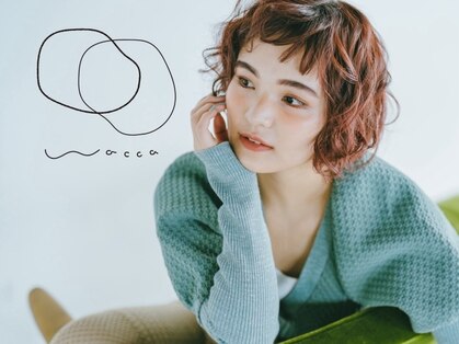 ワッカ(wacca)の写真