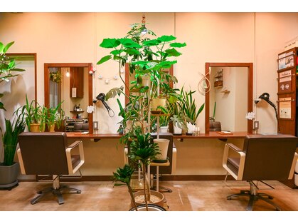 ノットヘアー(knot.hair)の写真