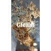 グリーム(Gleam)のお店ロゴ