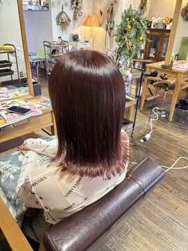 アメリシュシュ 柏(ameri chouchou) 【ameri chouchou 柏】深みのあるブリーチなし暖色系カラー♪