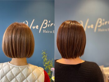 Blue Bird【ブルーバード】