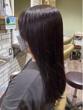 アエラスラナ 相模大野(Aeolus Lana) ダークラベンダーカラー×イルミナカラー