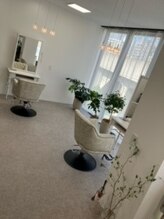 ルピナス(Lupinus)