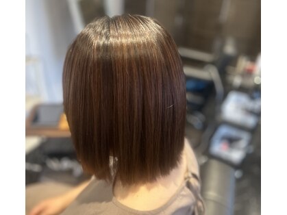 テラ(Terra)の写真