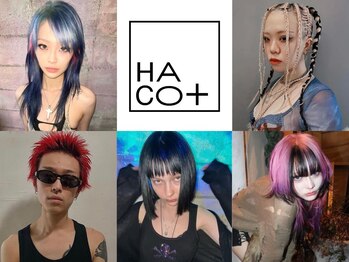 HACO+  【ハコプラス】