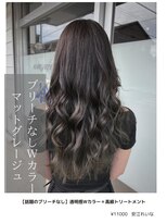 アイリス(IRIS) ブリーチなしWカラー透け感マットグレージュ